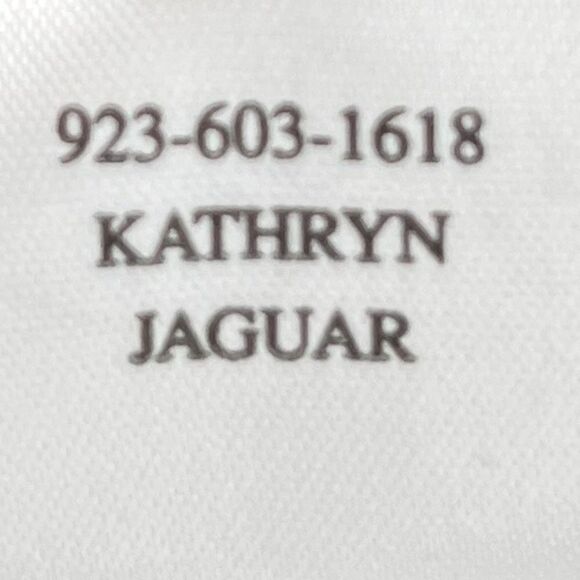 RAILS Kathryn Button Down Leopard Print Blouse Top size extra small - Picture 12 of 13